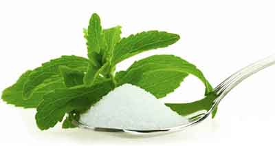 八種植物提取物出口概況與研發新趨勢