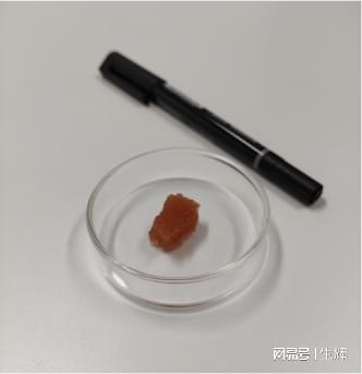 極麋生物突破 5種動物細胞培育成功，植物提取物引領培養基成本革命